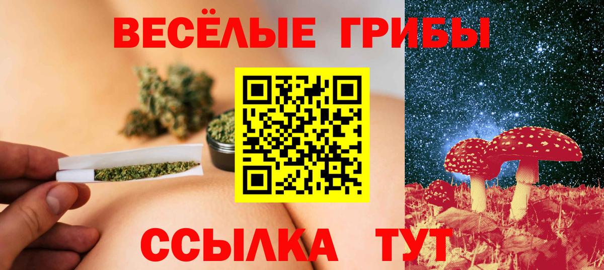 Десногорск  Псилоцибиновые грибы GOLDEN TEACHER  Вход с VPN 