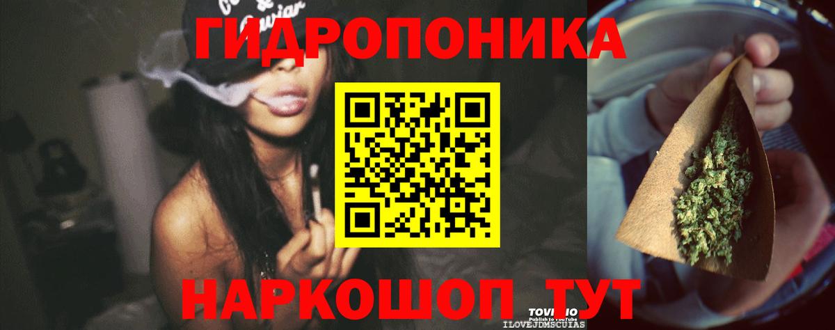 Шишки марихуана конопля  Вход с VPN  Десногорск  Шишки марихуана Amnesia  Бошки марихуана Bruce Banner 